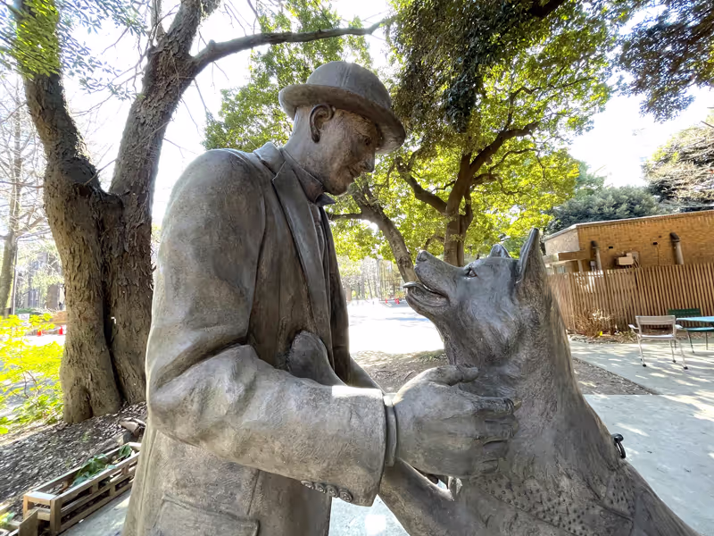 Chiba Private Tour - Hachi ( the most loyal dog in Japan who was waiting for his owner at Shibuya station for 10 years), finally met his owner in heaven. This beautiful bronze statues can be seen on the ground of " University of Tokyo"  My tears didn't stop...