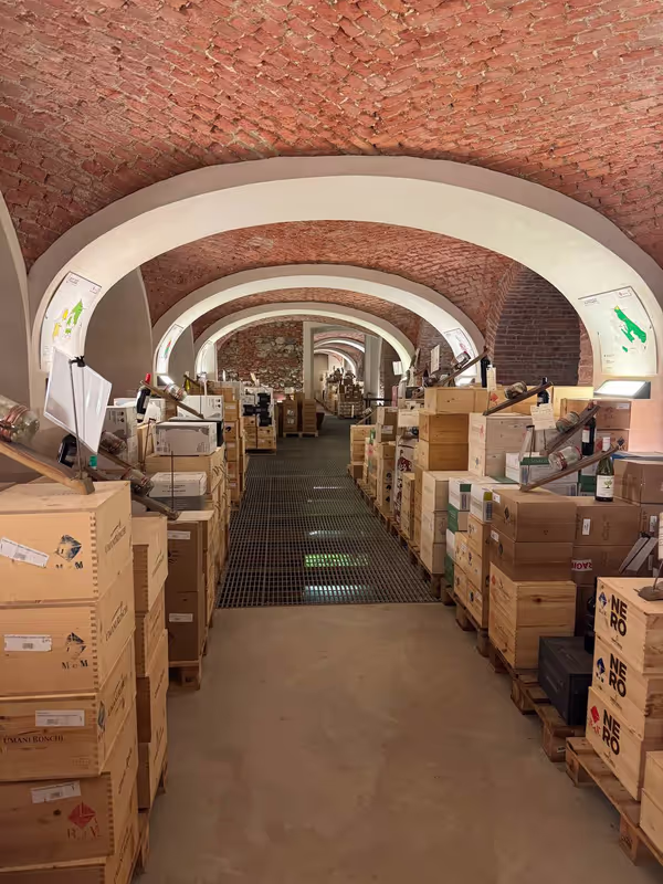 Piemonte Private Tour - Wine cellars