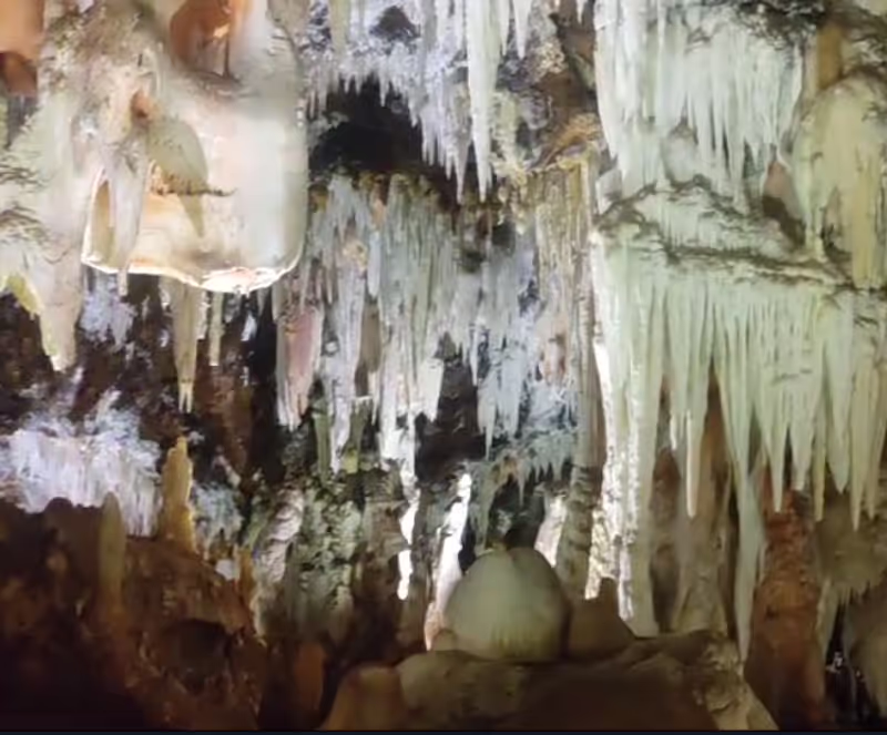 Madrid Private Tour - <AGUILA CAVE> EXCURSION