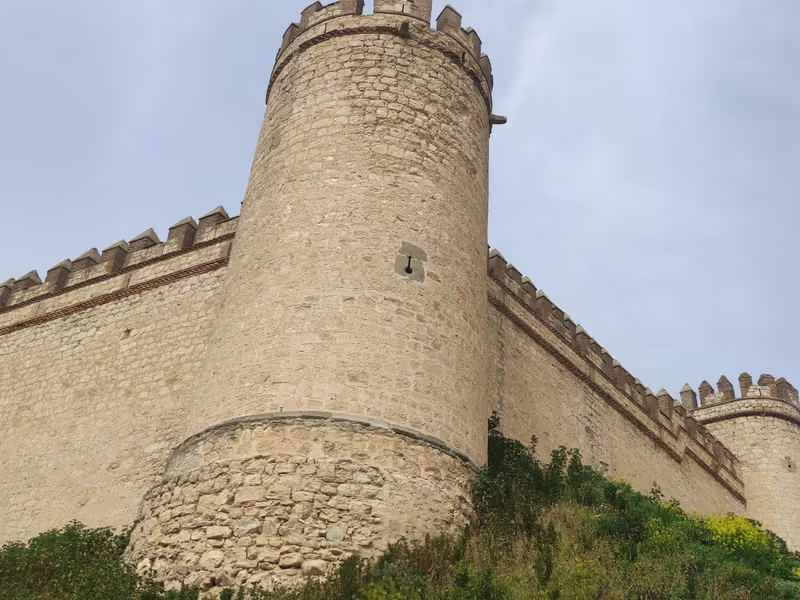 Madrid Private Tour - EXCURSION OF CASTLES