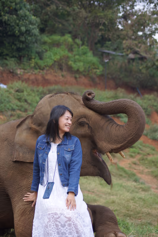 Chiang Mai Private Tour - Pure love with the elephant.