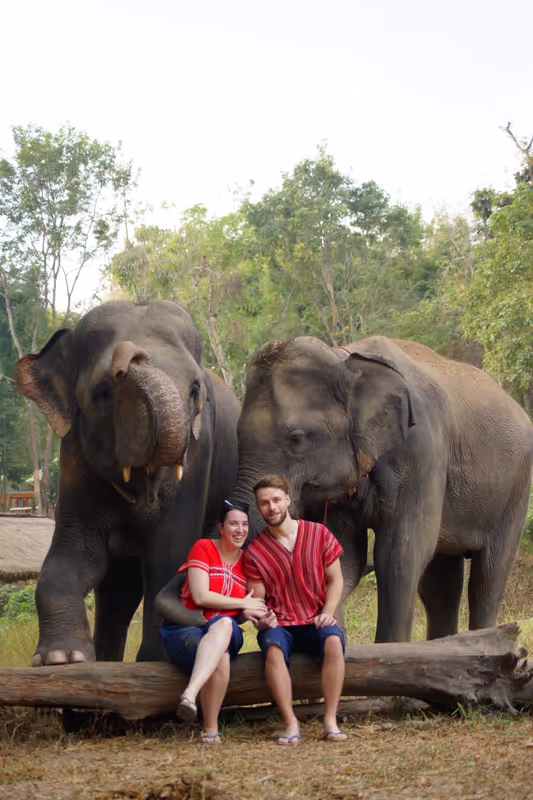 Chiang Mai Private Tour - Elephant experience in Chiang mai. 