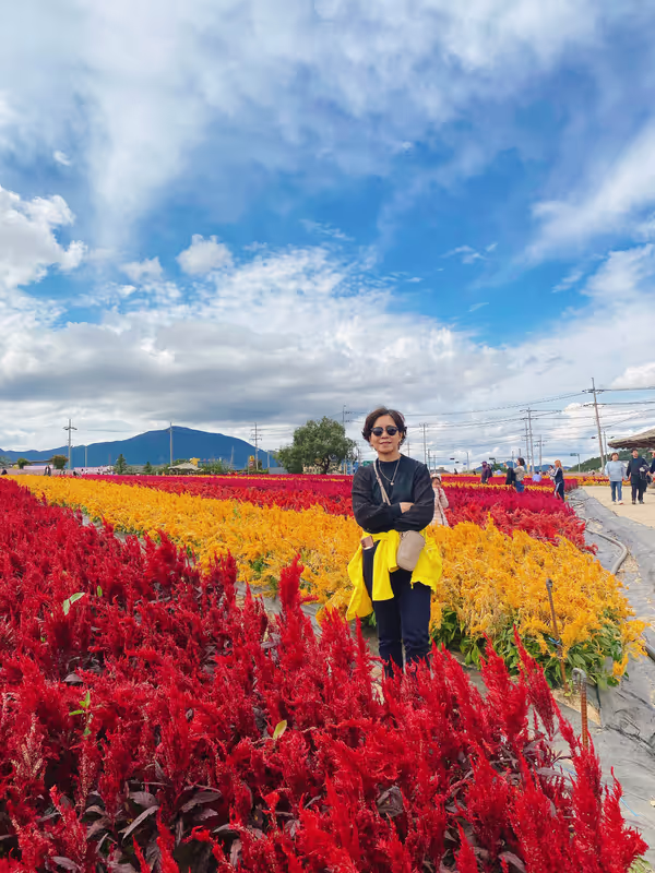 Gyeonggi Private Tour - Cheorwon