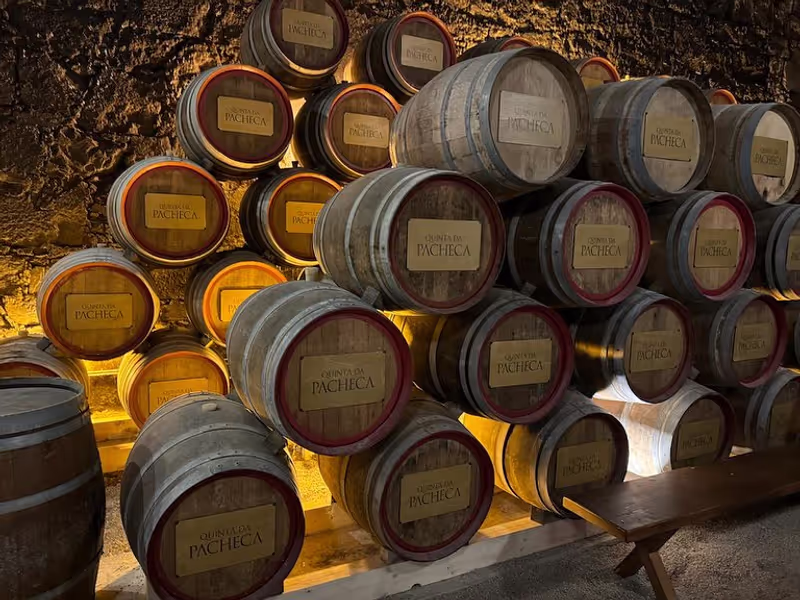 Porto Private Tour - Quinta da Pacheca
