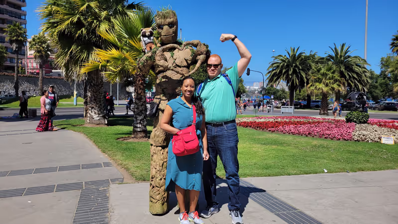 Santiago Private Tour - Viña del Mar