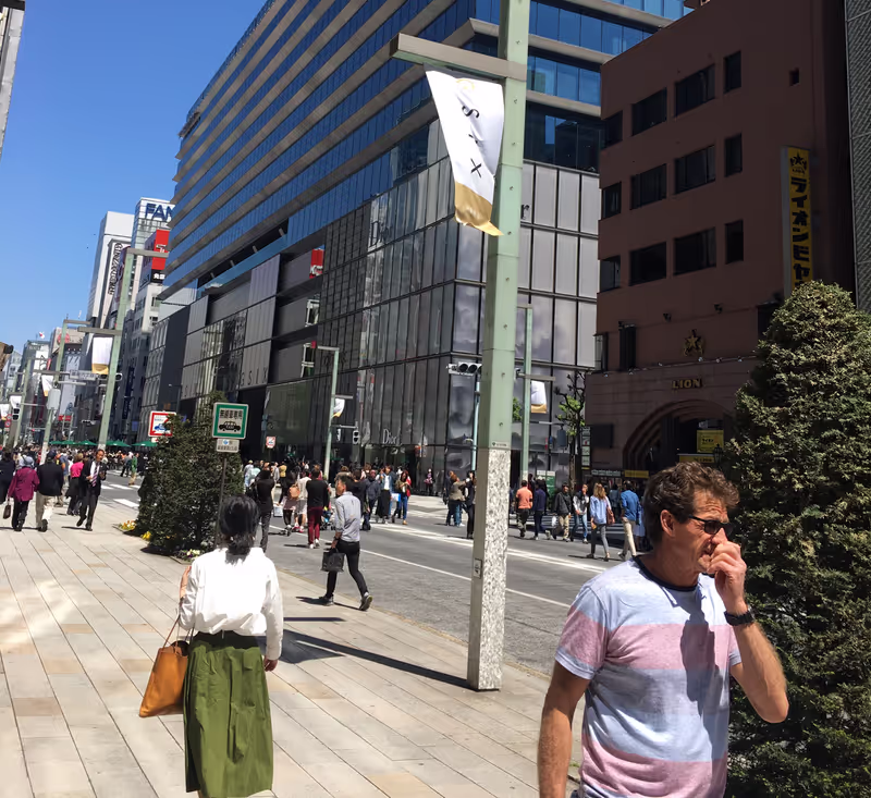 Tokyo Private Tour - Ginza Street