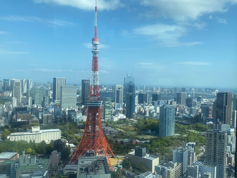 Tokyo Private Tour - Icon of Tokyo - Tokyo Tower