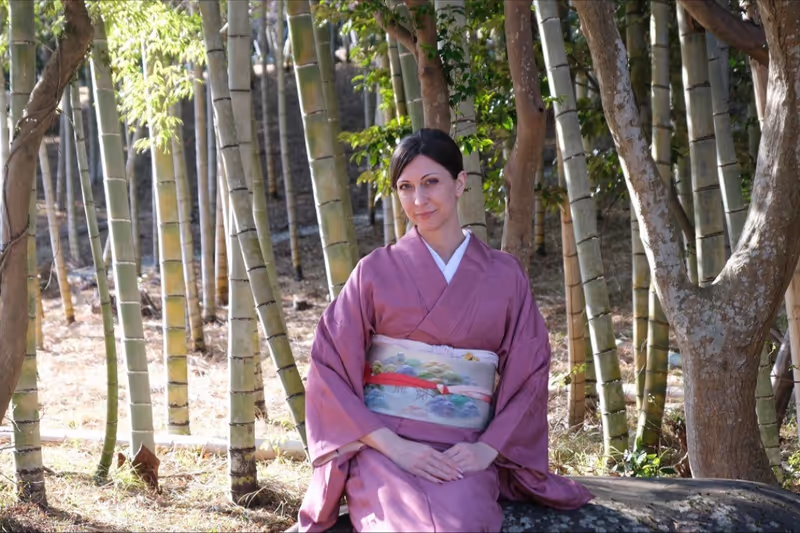 Kanagawa Private Tour - 