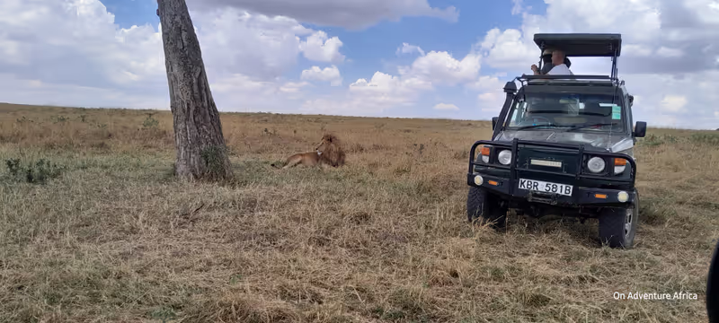 Nairobi Private Tour - Lion in Mara