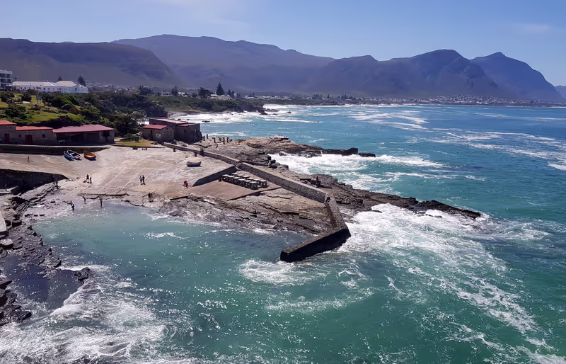 Western Cape Private Tour - Old Harbour - Hermanus