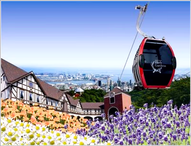 Kobe Private Tour - 