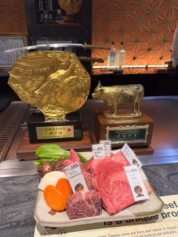 Kobe Private Tour - 