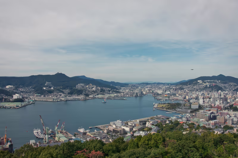 Fukuoka Private Tour - Nagasaki city from Mt. Inasa