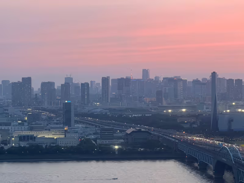 Chiba Private Tour - Tokyo at dusk