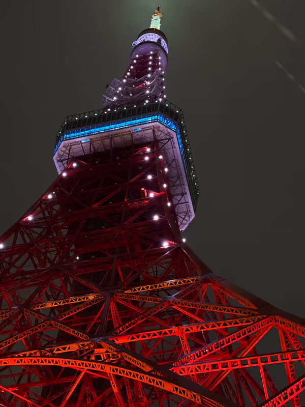 Chiba Private Tour - Tokyo Tower