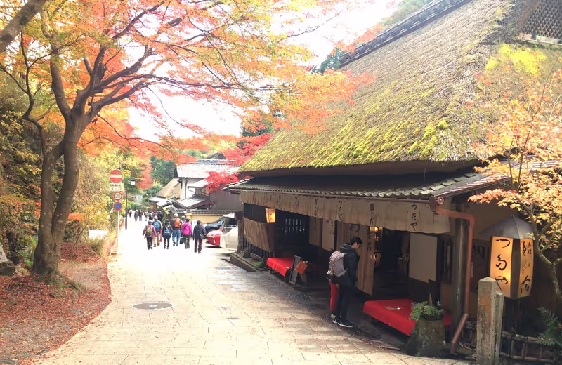 Osaka Private Tour - Autumn in Kyoto,Oku-Saga