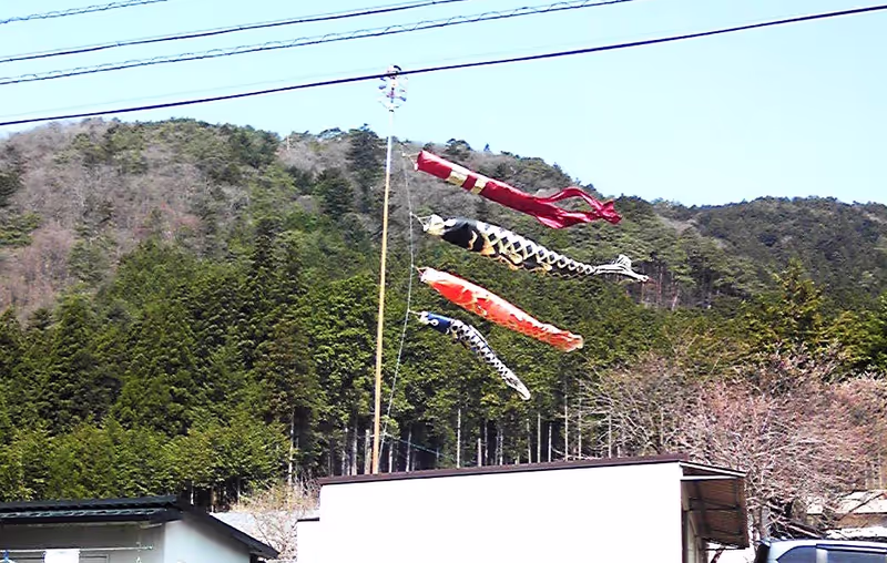 Osaka Private Tour - Carp Streamer