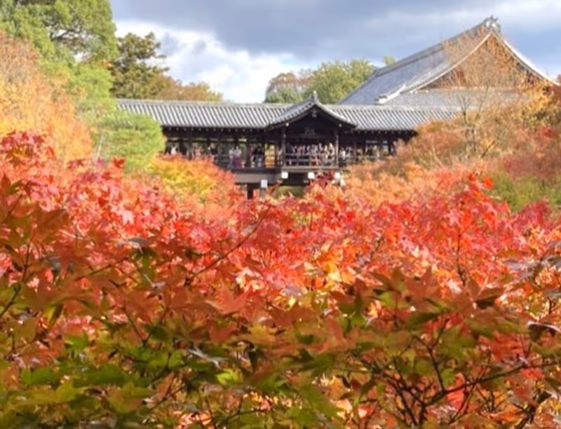 Osaka Private Tour - Autumn in Kyoto,Higashiyama