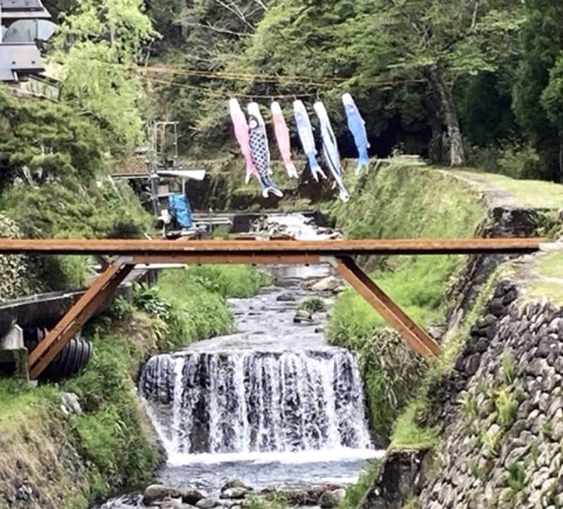 Osaka Private Tour - Carp Streamer for Boys Day