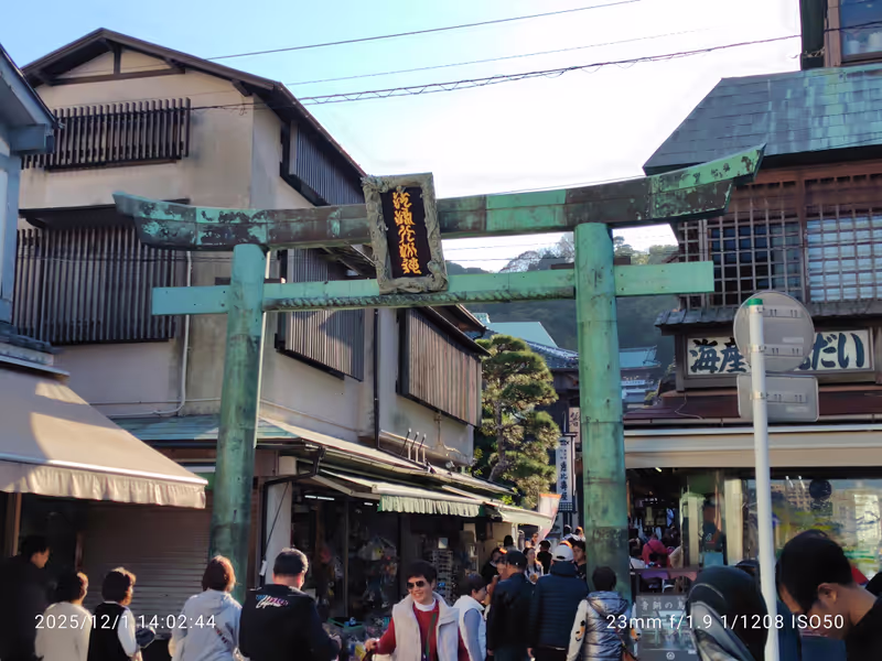 Kanagawa Private Tour - 