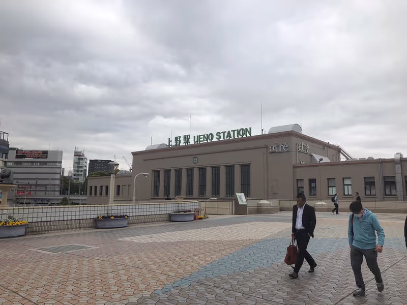Tokyo Private Tour - Ueno Station