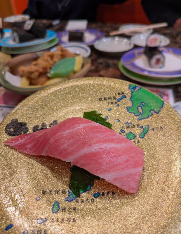 Tokyo Private Tour - Gem in japan