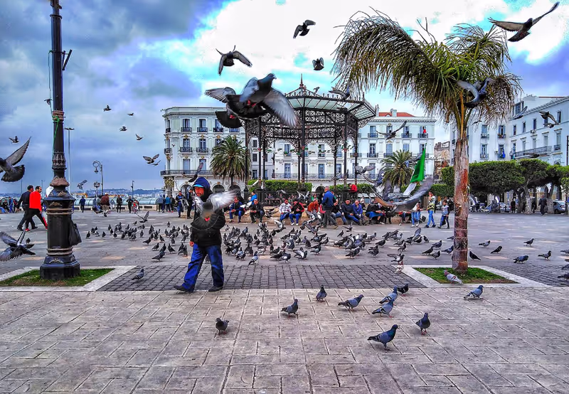 Algiers Private Tour - Martyrs place - city center