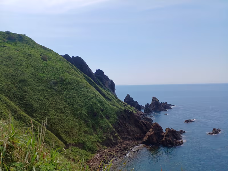 Niigata Private Tour - The Ohno-game Rock in Sado