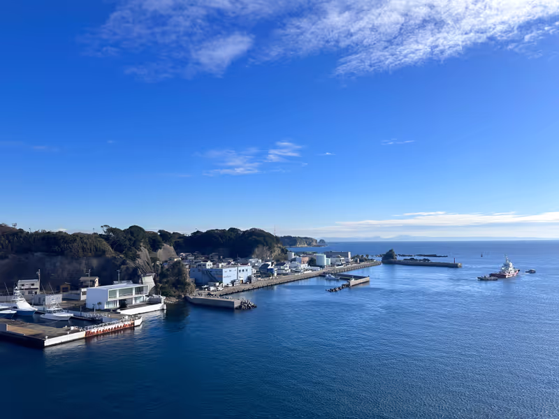 Kanagawa Private Tour - Beautiful Jogashima 