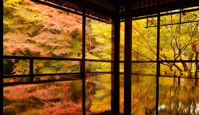 Nara Private Tour - Ruriko-In, Kyoto