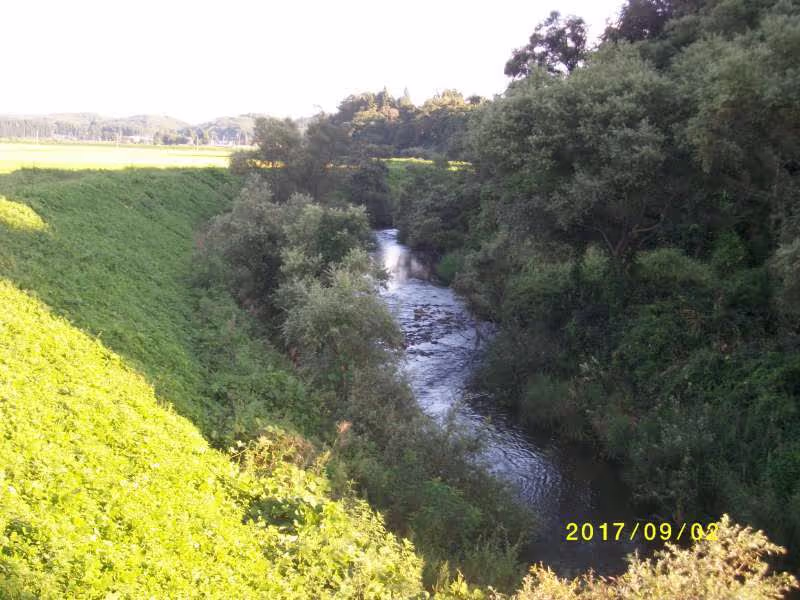 Yamagata Private Tour - The Nitta River