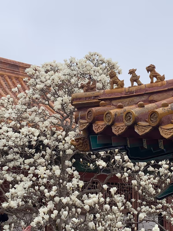 Beijing Private Tour - 