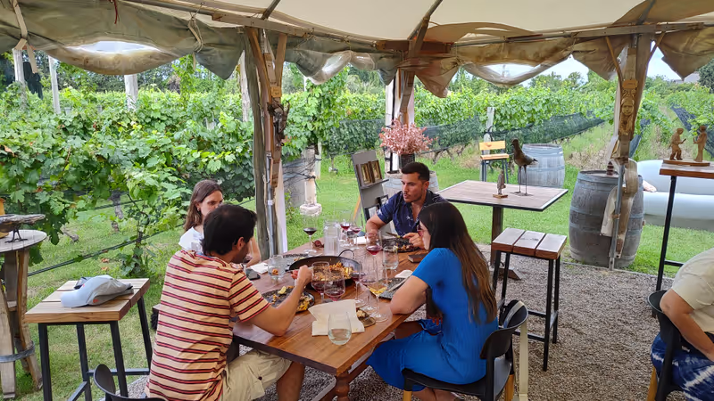 Mendoza Private Tour - 