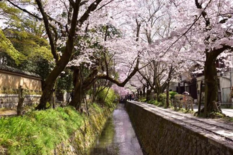 Kyoto Private Tour - 