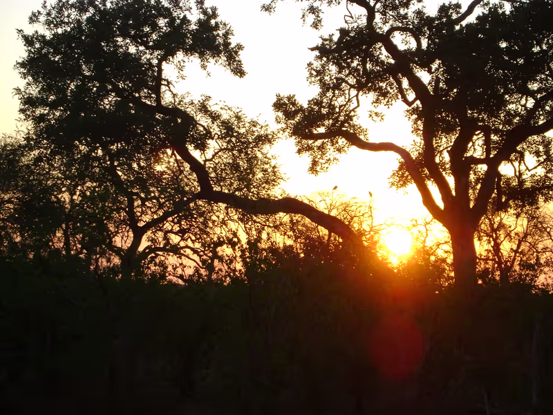 Gauteng Private Tour - Sunrise in Kruger National Park