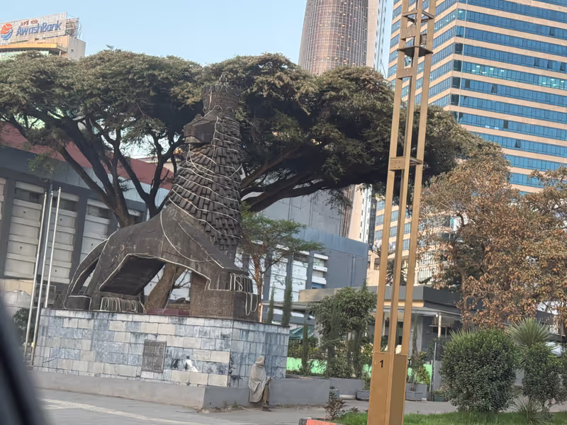 Addis Ababa Private Tour - The black lion