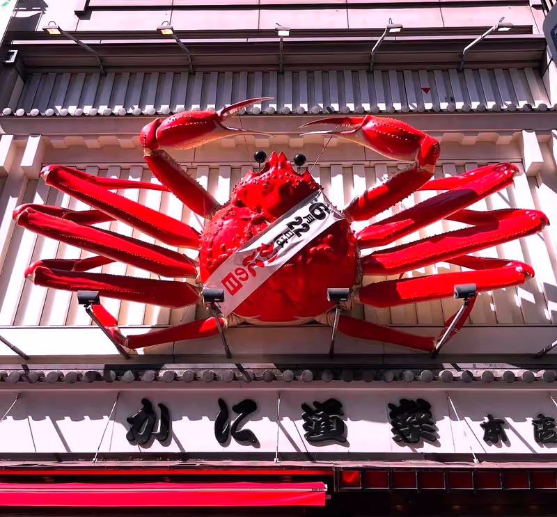 Osaka Private Tour - Dotonbori offers a lot of unique signs!
