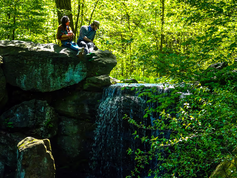 New York Private Tour - IN North Woods of Central Park