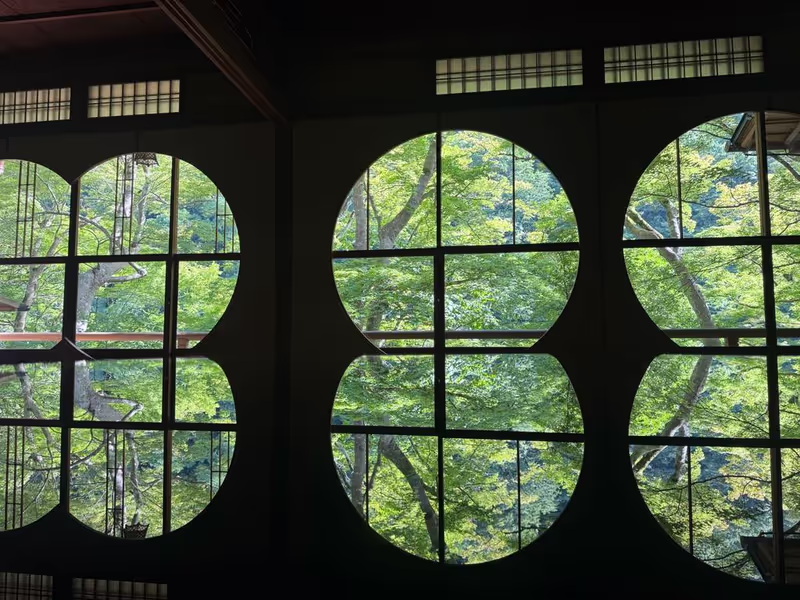 Osaka Private Tour - Where Kyoto whispers its secret in light and shadow