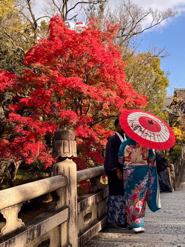 Osaka Private Tour - Autumn foliage in Kyoto