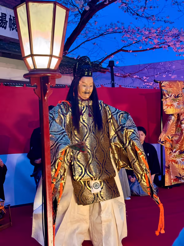 Osaka Private Tour - Cultural Experience 