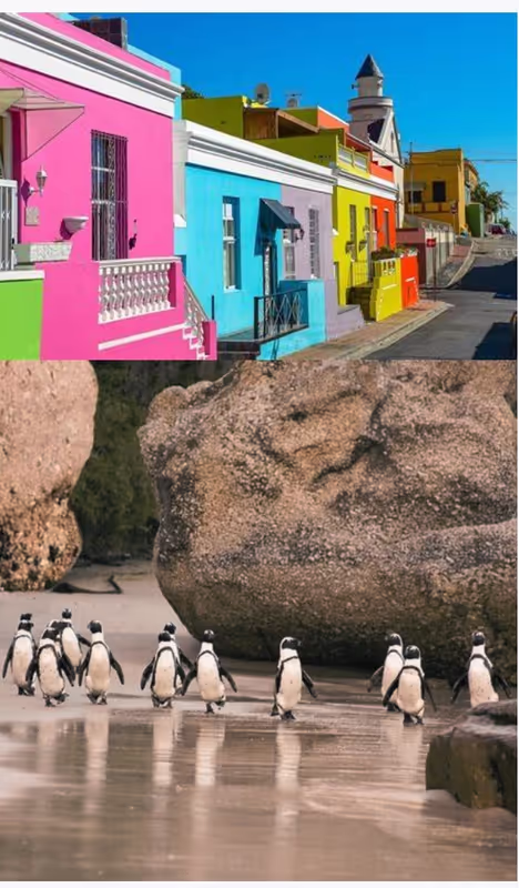 Cape Town Private Tour - 