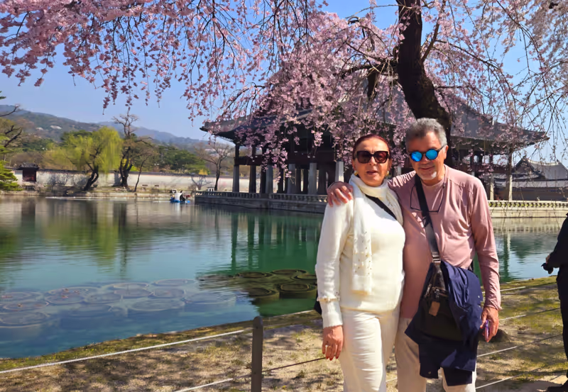 Seoul Private Tour - Gyeongbokgung Palace 