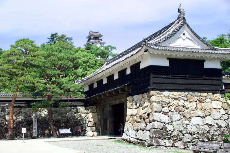 Kochi Private Tour - Central(C) Kochi-Kochi Castle