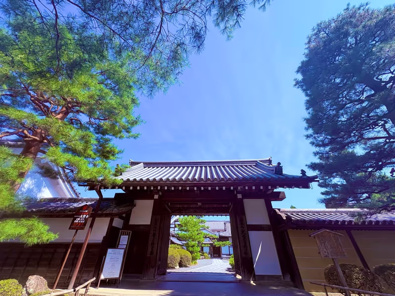 Osaka Private Tour - 