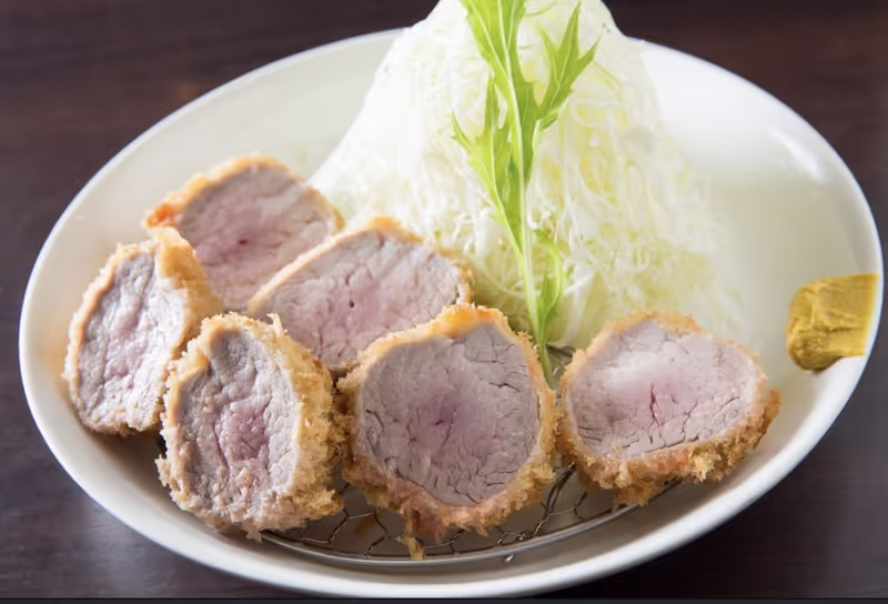 Shiga Private Tour - Famous Aged-Pork Loin- Yamashina