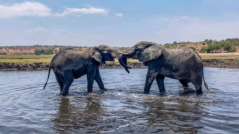 Matabeleland North Private Tour - 