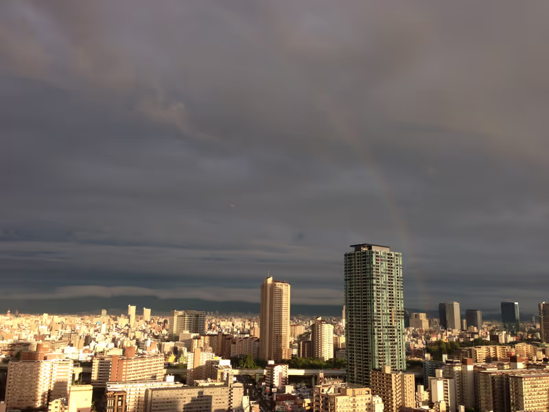 Osaka Private Tour - 