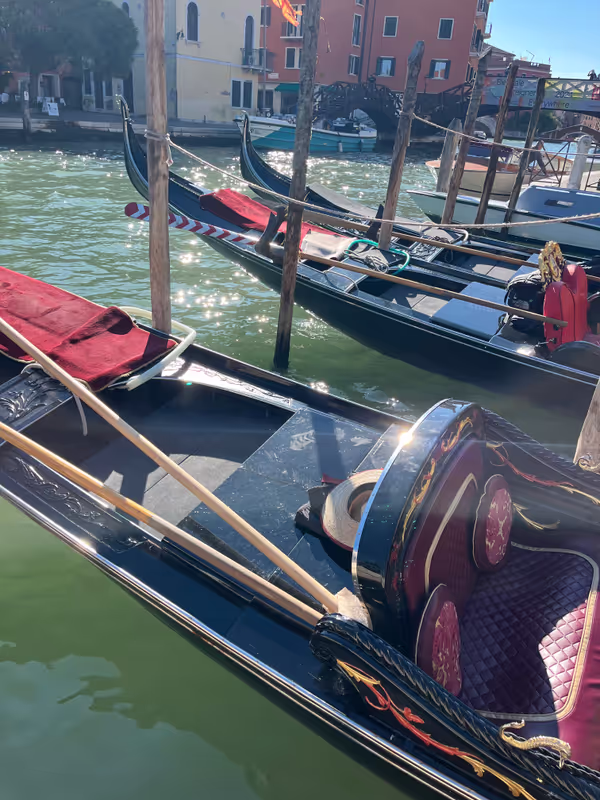Veneto Private Tour - Venice
