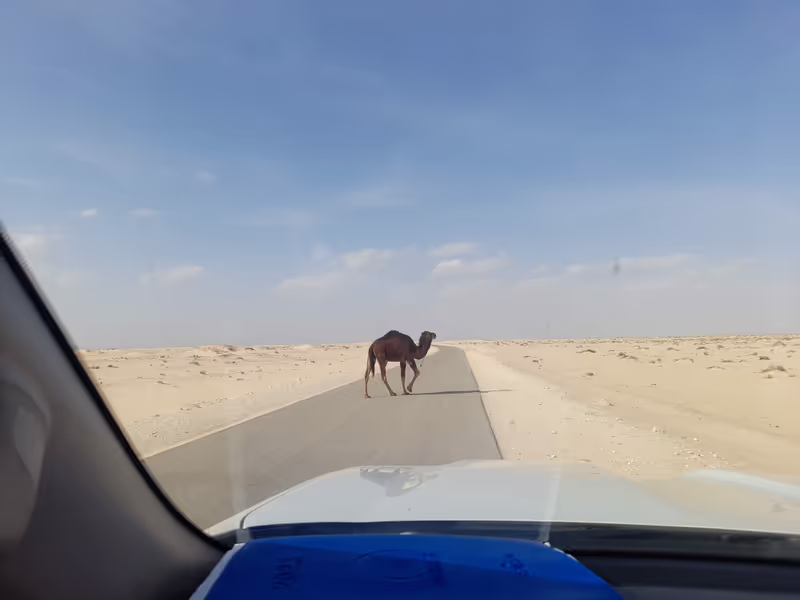 Nabeul Private Tour - Sahara